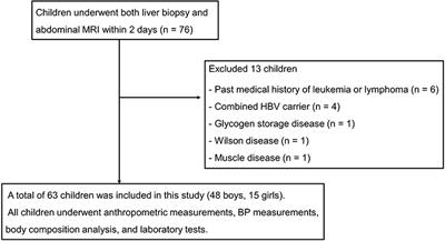 Relationship Between Histological Features of Non-alcoholic Fatty Liver Disease and Ectopic Fat on Magnetic Resonance Imaging in Children and Adolescents